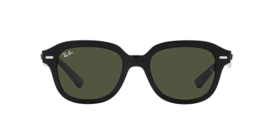 Ray-Ban Erik Sunglasses RB4398 901/31