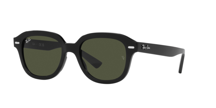 Ray-Ban Erik Sunglasses RB4398 901/31