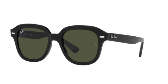 Ray-Ban Erik Sunglasses RB4398 901/31