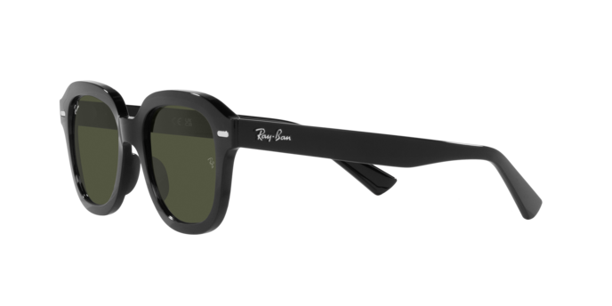 Ray-Ban Erik Sunglasses RB4398 901/31