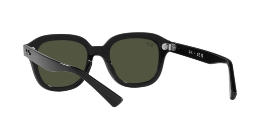 Ray-Ban Erik Sunglasses RB4398 901/31