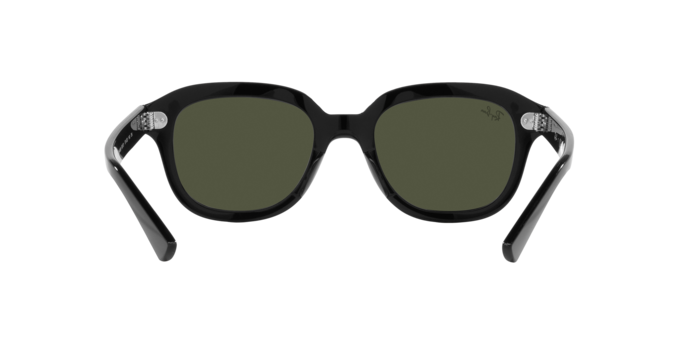 Ray-Ban Erik Sunglasses RB4398 901/31