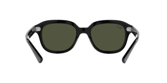 Ray-Ban Erik Sunglasses RB4398 901/31