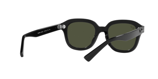 Ray-Ban Erik Sunglasses RB4398 901/31