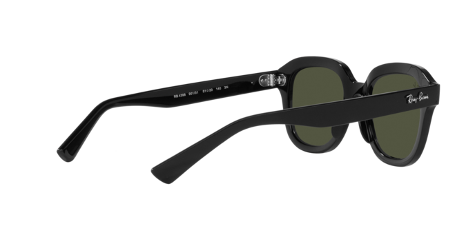 Ray-Ban Erik Sunglasses RB4398 901/31