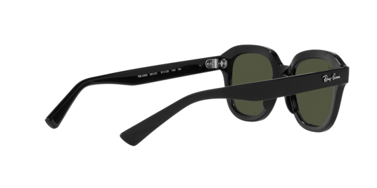 Ray-Ban Erik Sunglasses RB4398 901/31