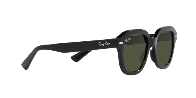 Ray-Ban Erik Sunglasses RB4398 901/31