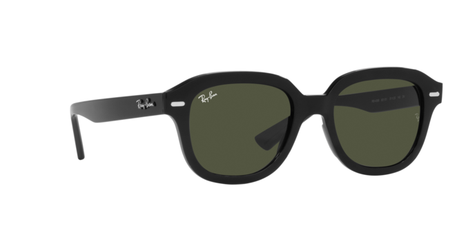 Ray-Ban Erik Sunglasses RB4398 901/31