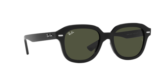 Ray-Ban Erik Sunglasses RB4398 901/31