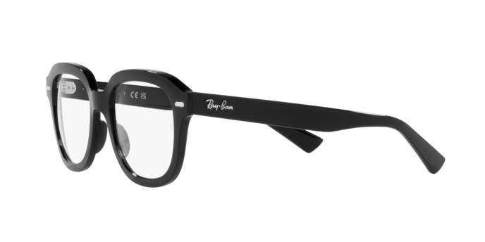 Ray-Ban Erik Sunglasses RB4398 901/GH