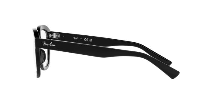 Ray-Ban Erik Sunglasses RB4398 901/GH