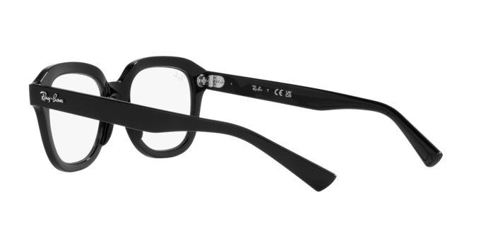 Ray-Ban Erik Sunglasses RB4398 901/GH