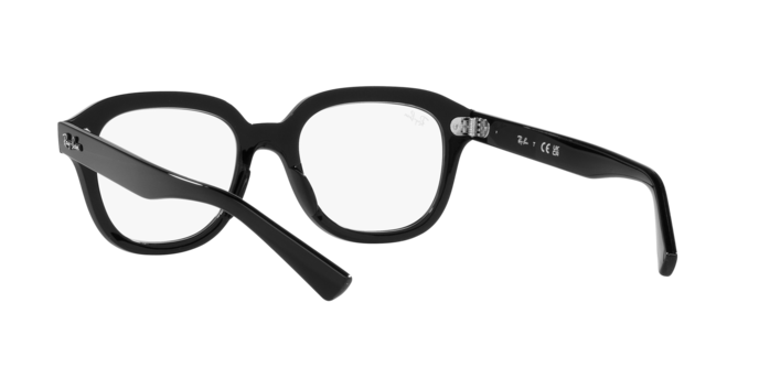 Ray-Ban Erik Sunglasses RB4398 901/GH