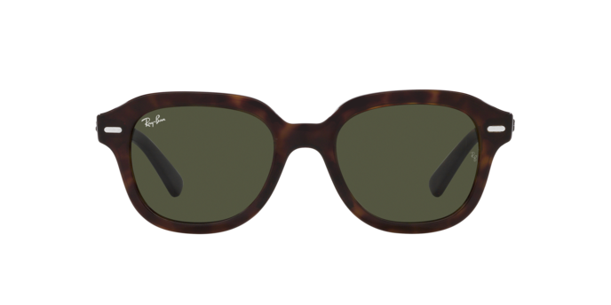 Ray-Ban Erik Sunglasses RB4398 902/31