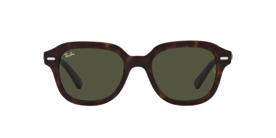 Ray-Ban Erik Sunglasses RB4398 902/31