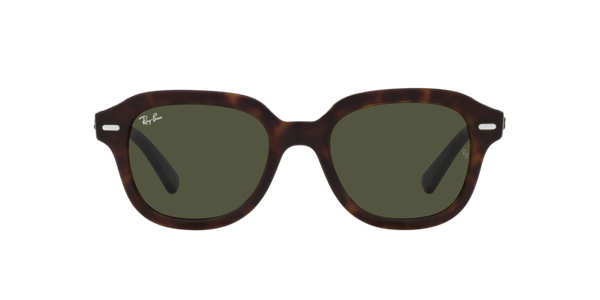 Ray-Ban Erik RB4398 902/31