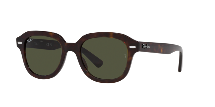 Ray-Ban Erik Sunglasses RB4398 902/31