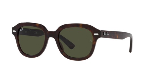 Ray-Ban Erik Sunglasses RB4398 902/31