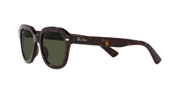 Ray-Ban Erik Sunglasses RB4398 902/31