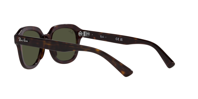 Ray-Ban Erik Sunglasses RB4398 902/31