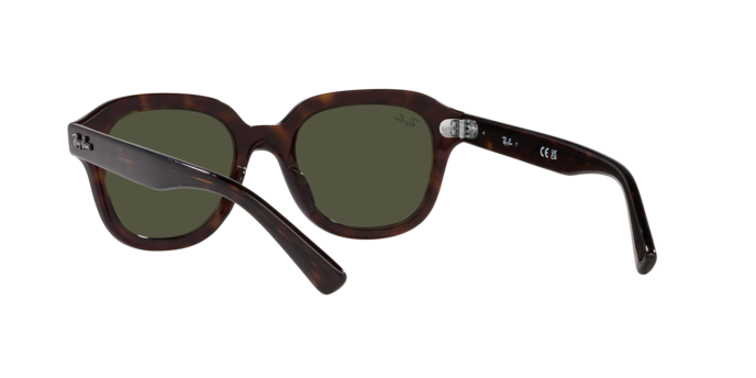 Ray-Ban Erik Sunglasses RB4398 902/31