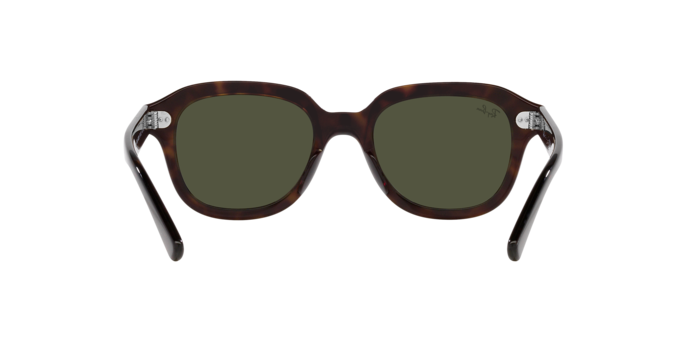 Ray-Ban Erik Sunglasses RB4398 902/31