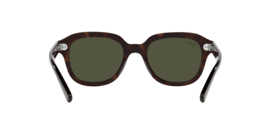 Ray-Ban Erik Sunglasses RB4398 902/31