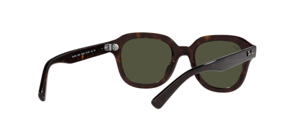 Ray-Ban Erik Sunglasses RB4398 902/31