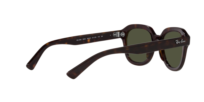 Ray-Ban Erik Sunglasses RB4398 902/31