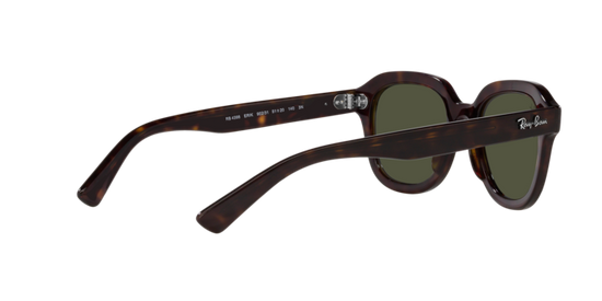 Ray-Ban Erik Sunglasses RB4398 902/31