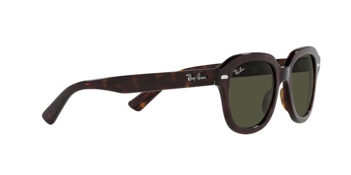 Ray-Ban Erik Sunglasses RB4398 902/31