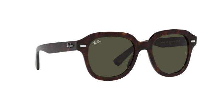 Ray-Ban Erik Sunglasses RB4398 902/31