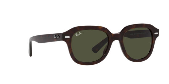 Ray-Ban Erik Sunglasses RB4398 902/31