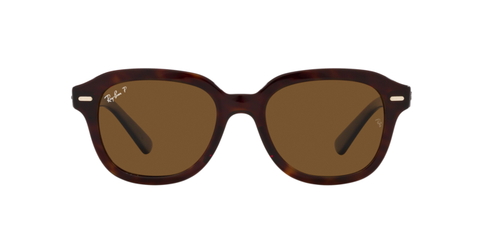 Ray-Ban Erik Sunglasses RB4398 902/57