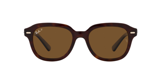 Ray-Ban Erik Sunglasses RB4398 902/57