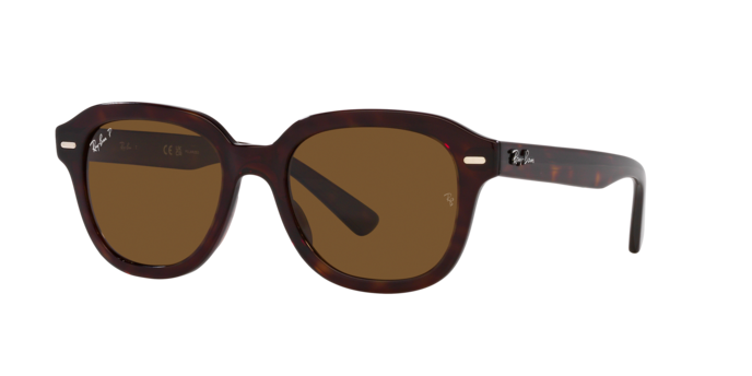 Ray-Ban Erik Sunglasses RB4398 902/57