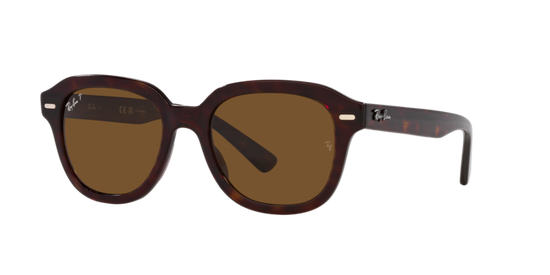 Ray-Ban Erik Sunglasses RB4398 902/57