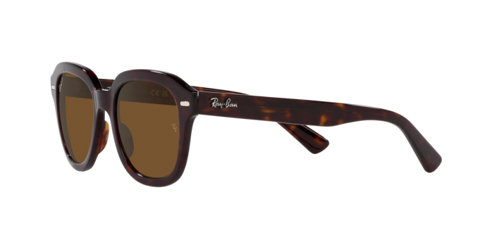 Ray-Ban Erik Sunglasses RB4398 902/57