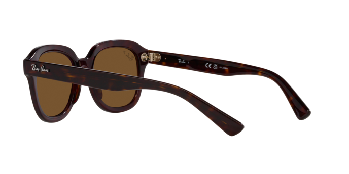 Ray-Ban Erik Sunglasses RB4398 902/57