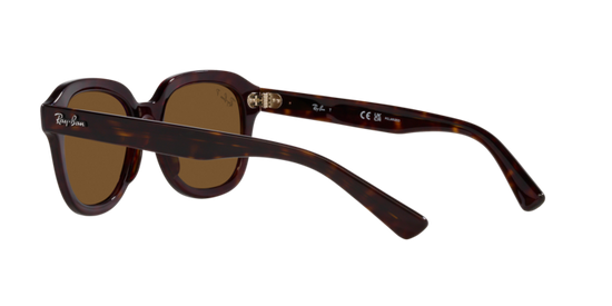 Ray-Ban Erik Sunglasses RB4398 902/57