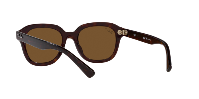 Ray-Ban Erik Sunglasses RB4398 902/57