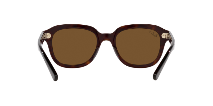 Ray-Ban Erik Sunglasses RB4398 902/57