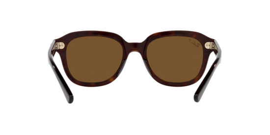 Ray-Ban Erik Sunglasses RB4398 902/57