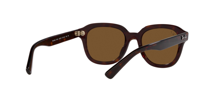 Ray-Ban Erik Sunglasses RB4398 902/57