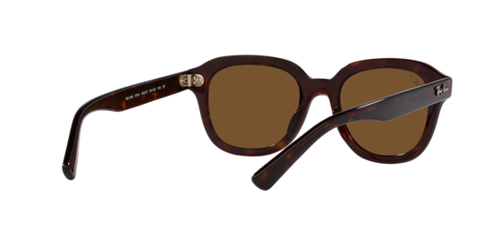 Ray-Ban Erik Sunglasses RB4398 902/57