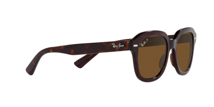 Ray-Ban Erik Sunglasses RB4398 902/57