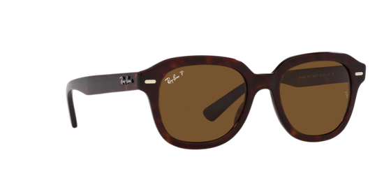 Ray-Ban Erik Sunglasses RB4398 902/57