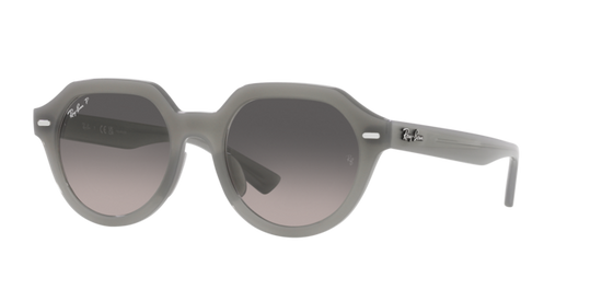 Ray-Ban Gina Sunglasses RB4399 6429M3