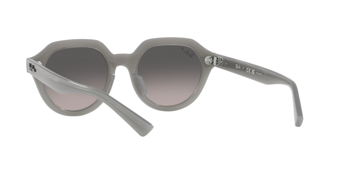 Ray-Ban Gina Sunglasses RB4399 6429M3