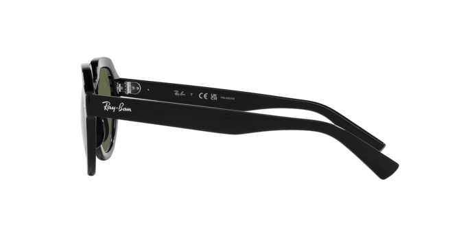 Ray-Ban Gina Sunglasses RB4399 901/58